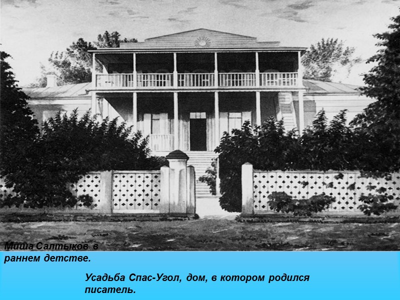 Миша Салтыков в раннем детстве.  Усадьба Спас-Угол, дом, в котором родился писатель.